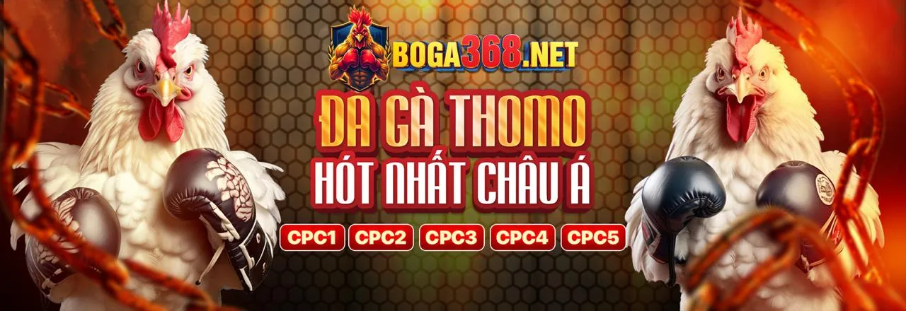 Sân đấu đá gà trực tuyến 68win